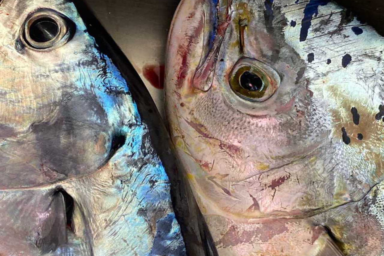 Santorini: passeio matinal privado de barco de pesca em alto mar