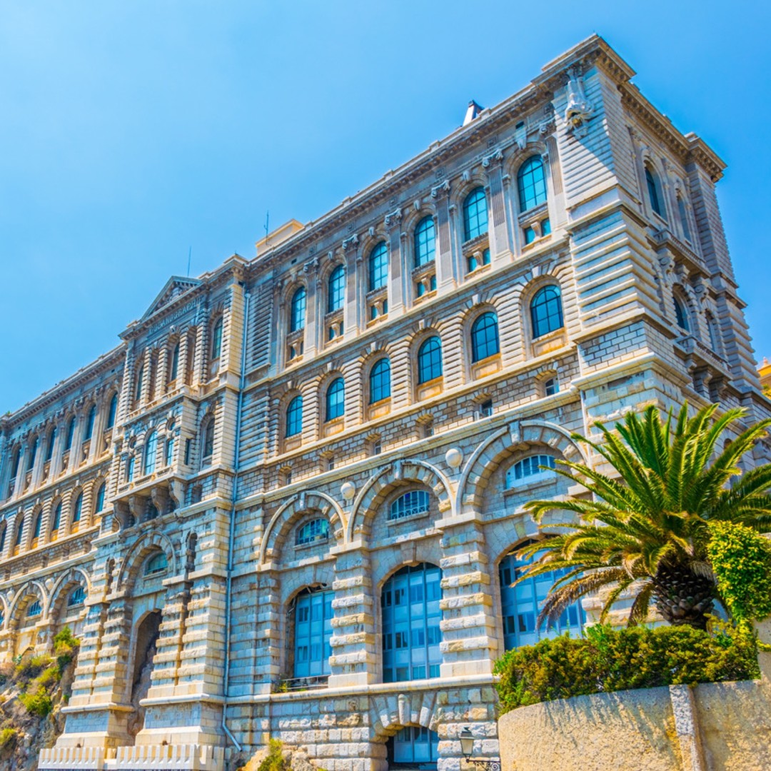 Galerie média
