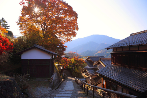 Nagoya: Autumn Korankei Gorge & Shikizakura Highlights Tour Shared Tour, Meet at Chubu Electric Power MIRAI Tower