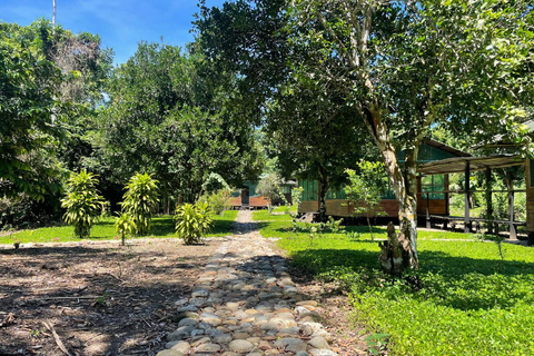 Da Cusco: 5 giorni di esplorazione e connessione nella Zona Riservata del ManuDa Cusco: 5 giorni di esplorazione e connessione nella Zona Riservata di Manu