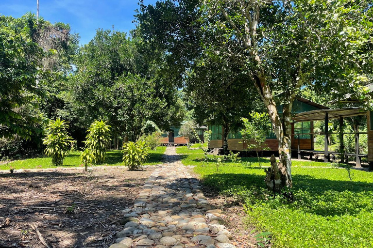 Da Cusco: 5 giorni di esplorazione e connessione nella Zona Riservata del ManuDa Cusco: 5 giorni di esplorazione e connessione nella Zona Riservata di Manu