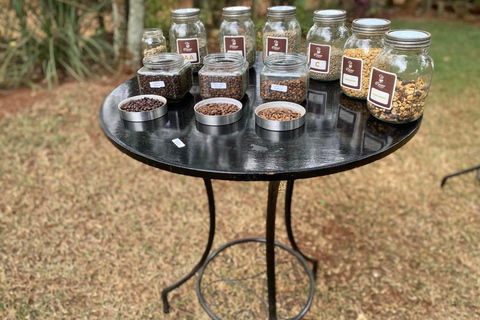 Nairobi: Fairview Coffee Estate Tour with Tasting and Pickup