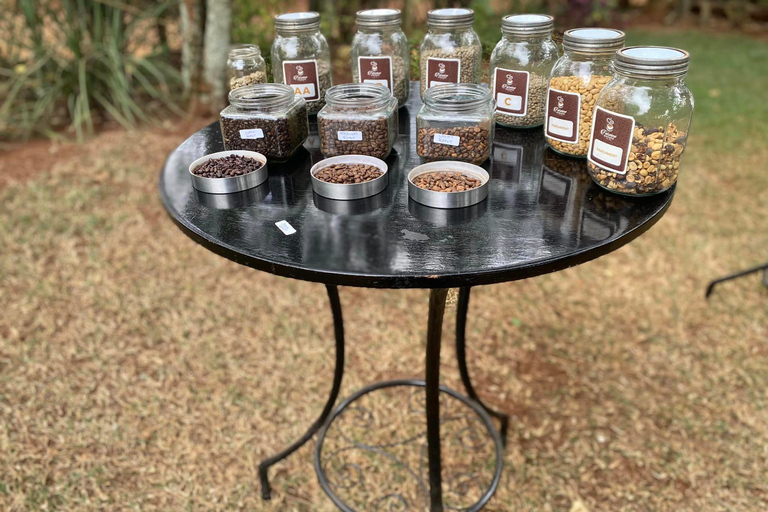 Nairobi: Fairview Coffee Estate Tour with Tasting and Pickup