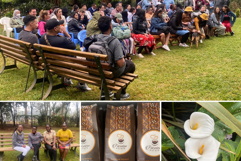 Nairobi: Fairview Coffee Estate Tour with Tasting and Pickup