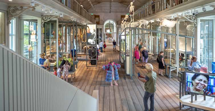 Amsterdam: ARTIS-Groote Museum Entry Ticket | GetYourGuide