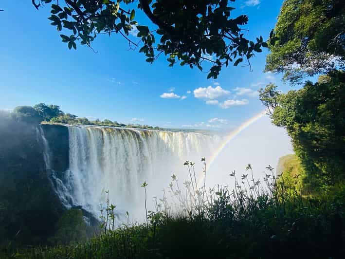 Victoria Falls: Guided Private Walking Tour | GetYourGuide