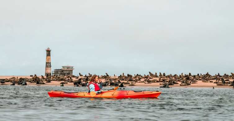 Walvis Bay Pelican Point Guided Kayaking with Seal Colonies GetYourGuide