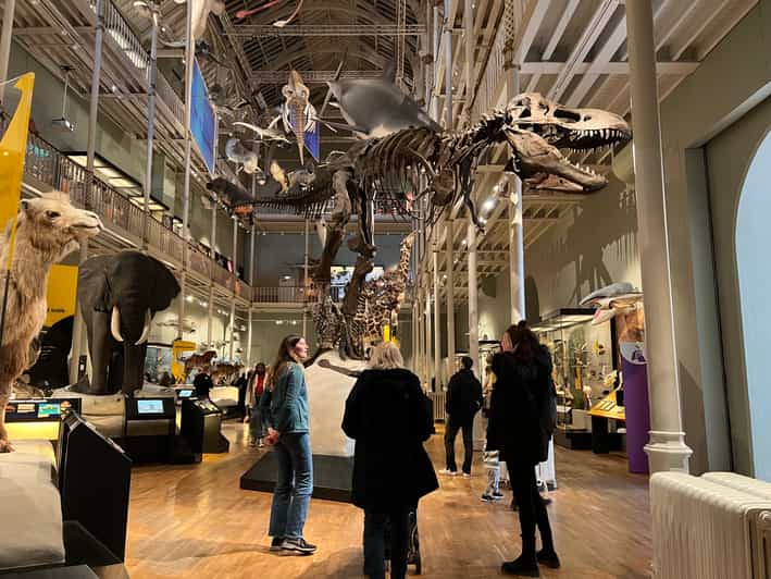 Edinburgh National Museum Of Scotland Guided Tour GetYourGuide