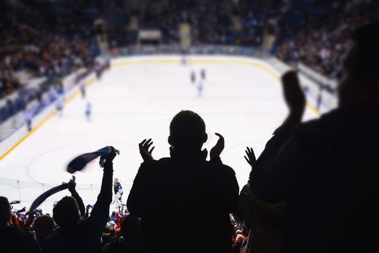 Toronto: Toronto Maple Leafs Game Ticket in Scotiabank ArenaBudget zitplaatsen