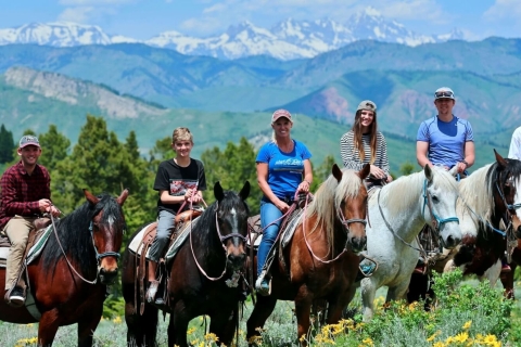 Jackson Hole: Teton View begeleide paardrijtocht met lunch