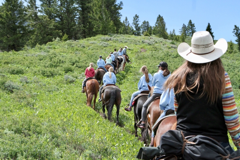 Jackson Hole: Teton View begeleide paardrijtocht met lunch