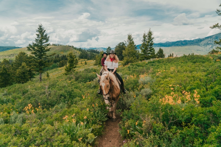 Jackson Hole : Tour à cheval de Moose Meadow avec petit-déjeunerJackson : Tour à cheval du Pré de l'Orignal avec petit-déjeuner