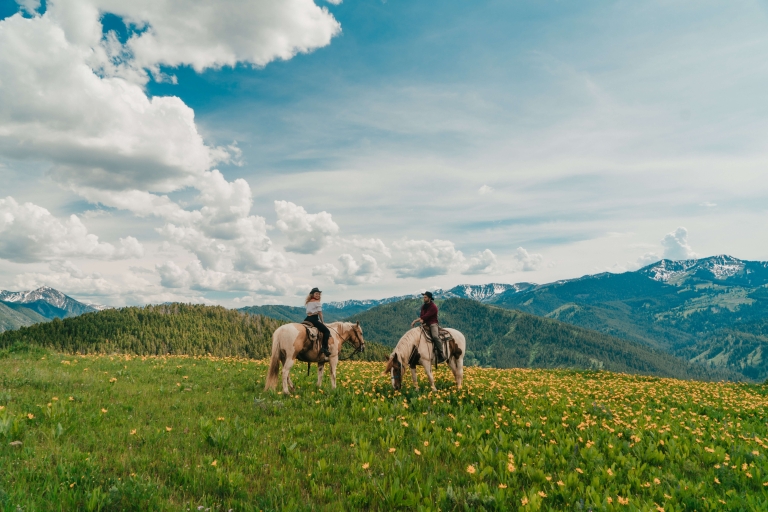 Jackson Hole : Tour à cheval de Moose Meadow avec petit-déjeunerJackson : Tour à cheval du Pré de l'Orignal avec petit-déjeuner