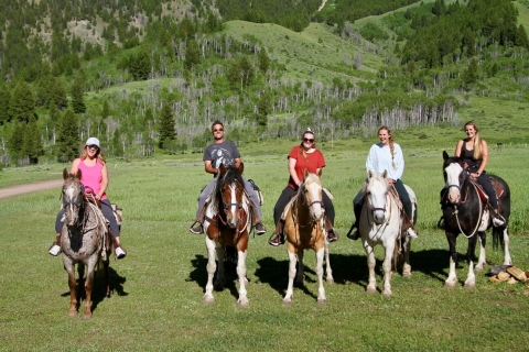 Jackson Hole: Paseo panorámico guiado a caballo por Bryan's Flat