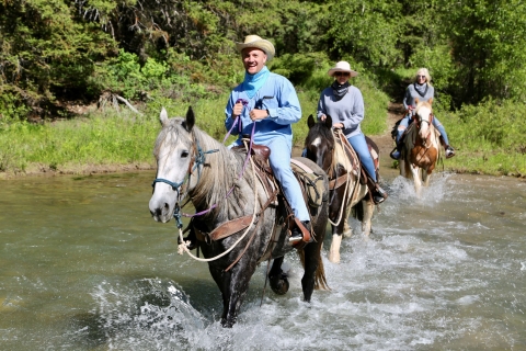 Jackson Hole: paardrijtocht door Willow Creek met lunchJackson Hole: Willow Creek paardrijden met lunch