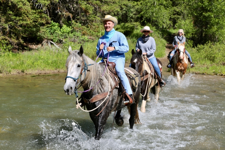 Jackson Hole : Circuit d'équitation à Willow Creek avec déjeunerJackson Hole : Promenade à cheval à Willow Creek avec déjeuner