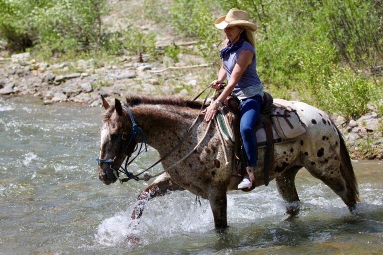 Jackson Hole : Circuit d'équitation à Willow Creek avec déjeunerJackson Hole : Promenade à cheval à Willow Creek avec déjeuner