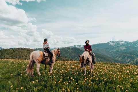 Jackson Hole: Willow Creek Horseback Riding Tour with Lunch Jackson Hole: Willow Creek Horseback Ride with Lunch