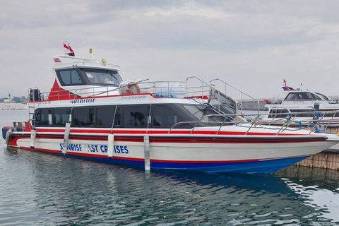 Bali Sanur: Ferry exprés de ida a/desde Nusa PenidaSanur a Nusa Penida Ticket de entrada para todos los pasaportes