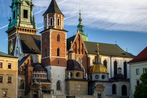 Cracovie : Cathédrale de Wawel avec un guide privé