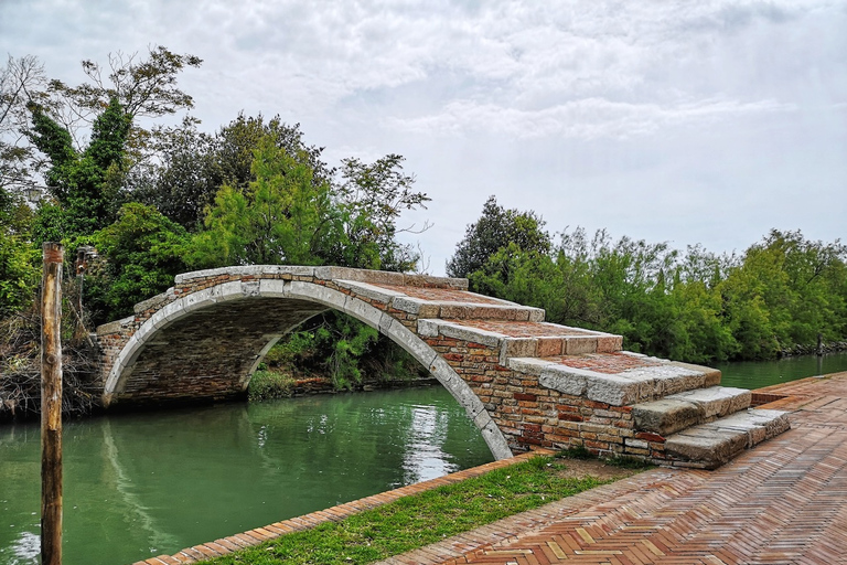 Venezia: tour privato delle isole di Murano, Burano e TorcelloVenezia: Tour di San Marco, Palazzo Ducale e Isole Veneziane