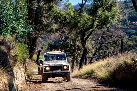 From Protaras: Full-Day Jeep Safari to Troodos with Lunch