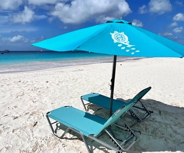 Bridgetown Cruise Port: Carlisle Bay Beach Shuttle & Lounger