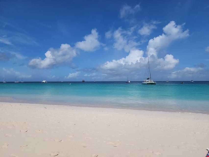 Bridgetown: Carlisle Bay Turtle and Shipwreck Boat Cruise