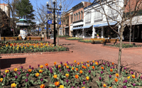 Boulder, City Highlights Private Walking Tour with Guide - Housity