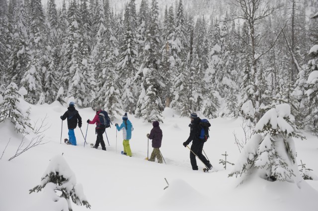 Visit Monts-Valin National Park Snowshoe Rental & Entry Ticket in Saguenay Fjords