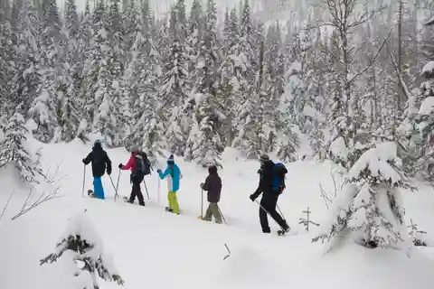 Parc national des Monts-Valin : Location de raquettes et billet d'entrée