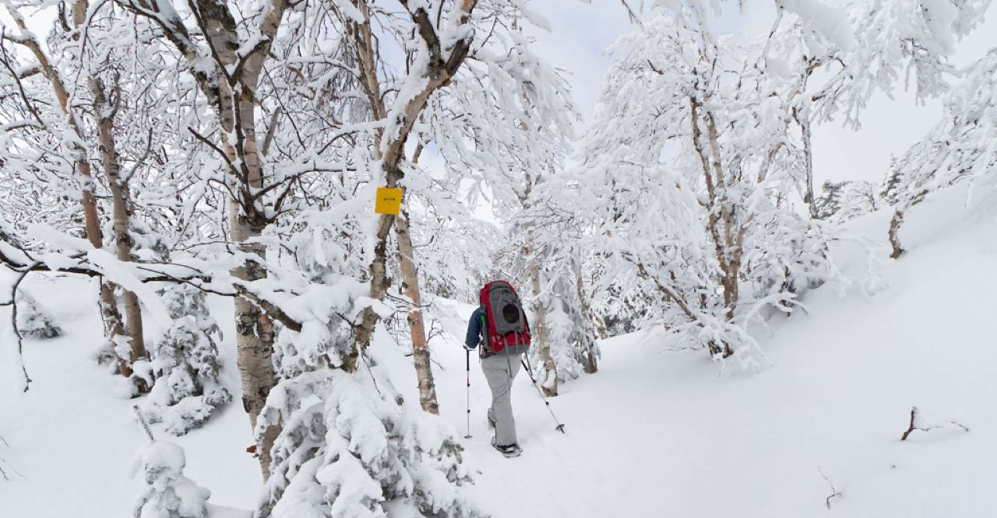 Monts-Valin National Park, Snowshoe Rental & Entry Ticket - Hizvo