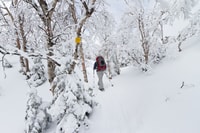 Parc national des Monts-Valin, billet de location et d'entrée en raquettes - Hizvo