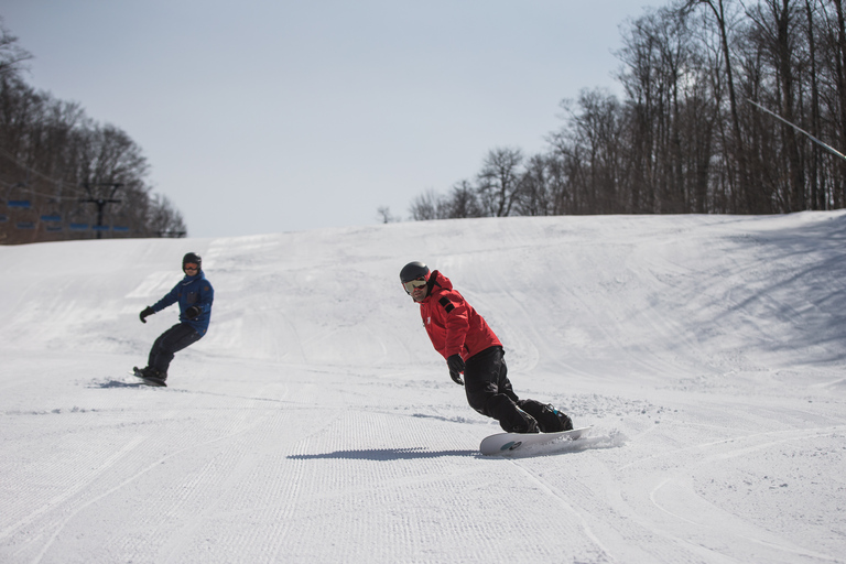 Vanuit Montreal: dagtrip skiën of snowboarden