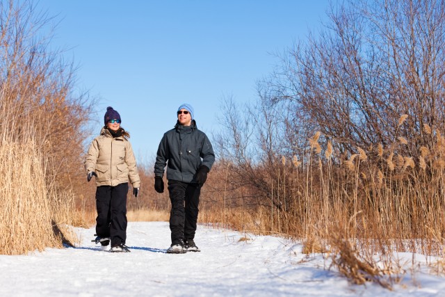 Visit From Montreal Mont-Saint-Bruno National Park Snowshoe Hike in Montreal