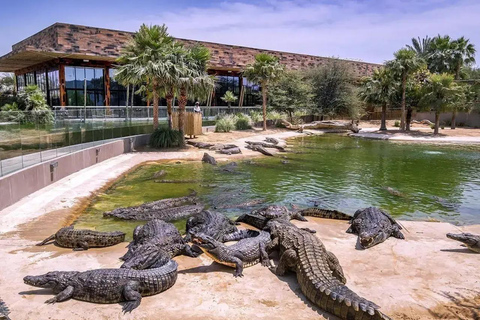 Agadir: Souss-Massa National Park & Crocopark Tour