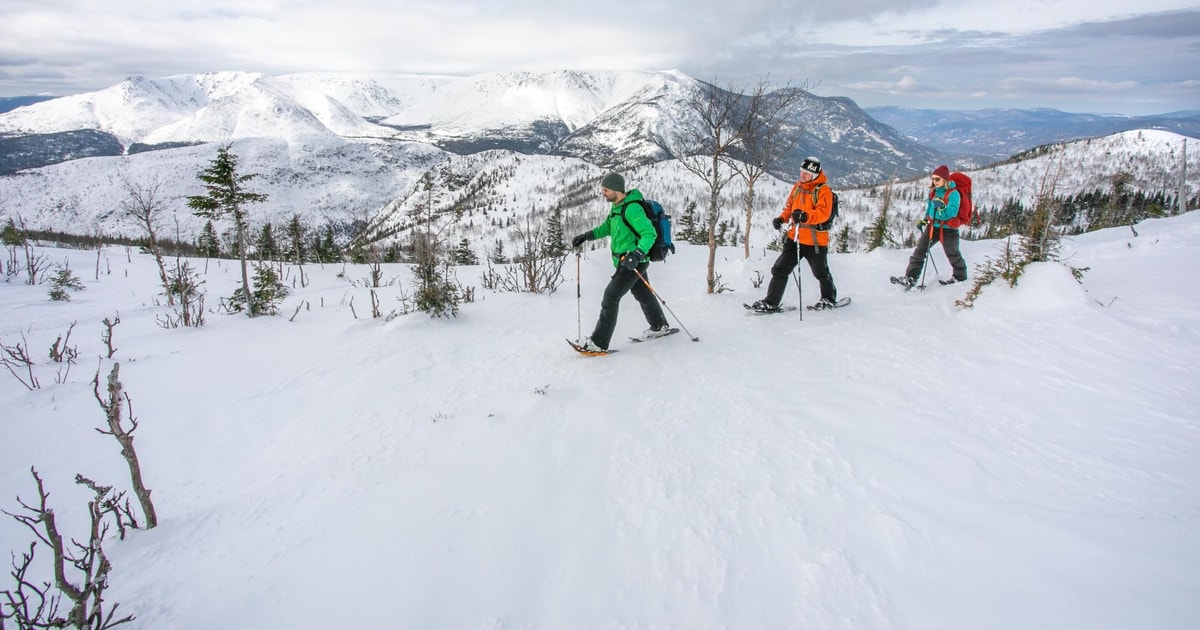 Gaspésie National Park Entry Ticket with Snowshoe Rental GetYourGuide