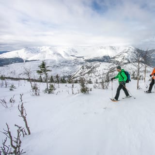 Gaspésie: National Park Entry Ticket with Snowshoe Rental