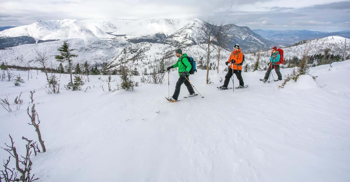 Gaspésie National Park Entry Ticket with Snowshoe Rental GetYourGuide
