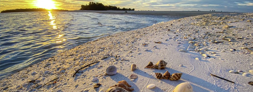 Marco Island : 2 heures privées de tour en bateau au coucher du soleil