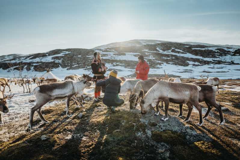 Tromsø: Arctic Fjords and Reindeer Experience