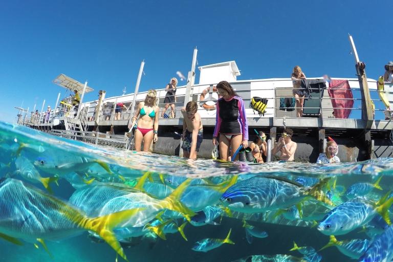 Cairns: Outer Great Barrier Reef-ponton met activiteiten