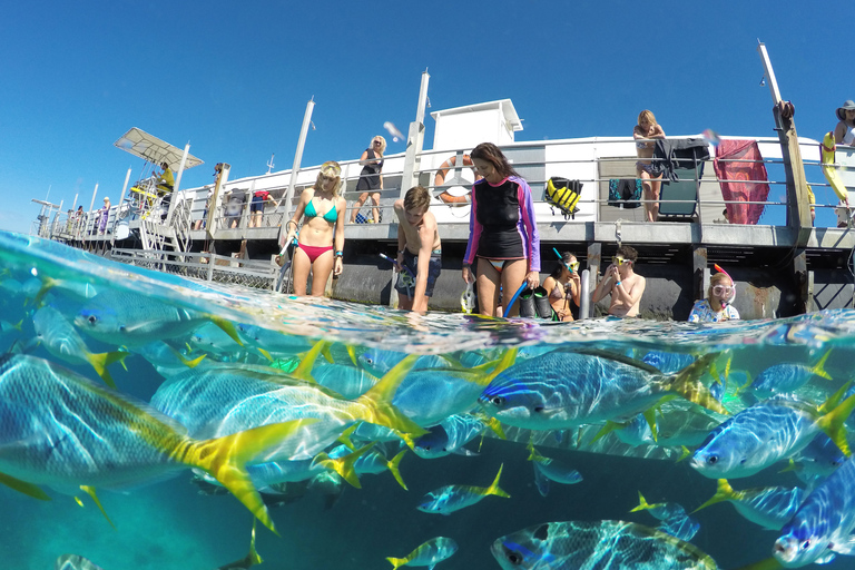 Cairns: Outer Great Barrier Reef-ponton met activiteiten