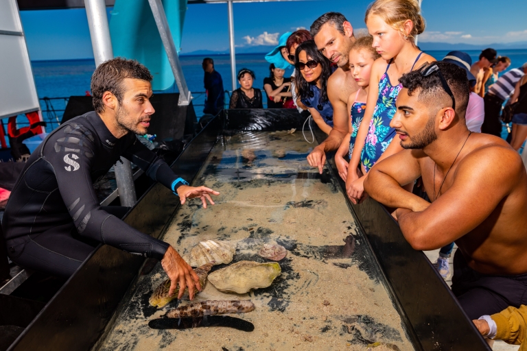 Cairns: ponton na zewnętrznej Wielkiej Rafie Koralowej z atrakcjami