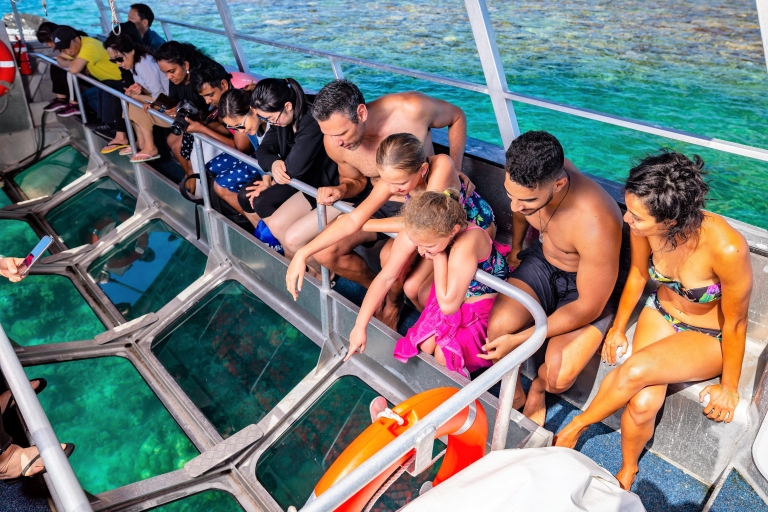 Cairns : Ponton extérieur de la Grande Barrière de Corail avec activités