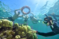 Cairns, Outer Great Barrier Reef Pontoon con attività - Housity