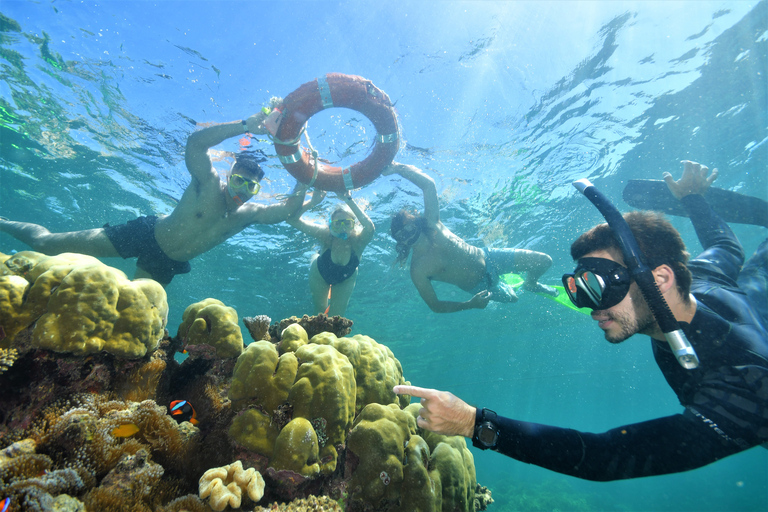 Cairns : Ponton extérieur de la Grande Barrière de Corail avec activités