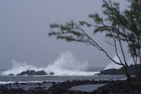 Hilo, Walking Ghost Tour - Housity