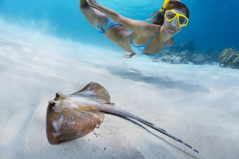 St. Thomas: Island Flyer Private Catamaran Beach & Snorkel