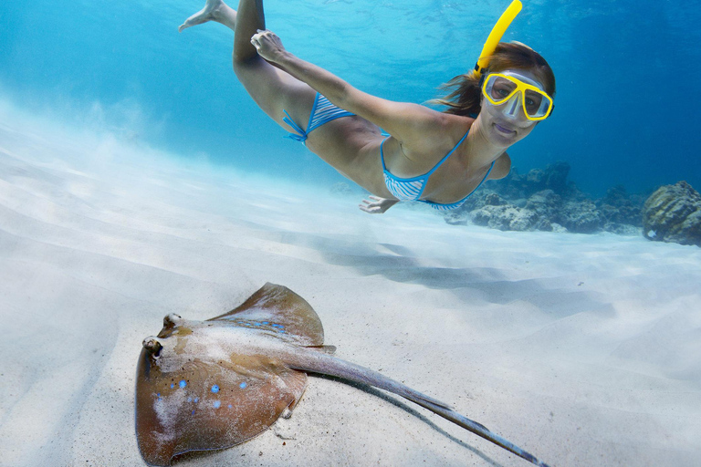 St. Thomas: Island Flyer Private Catamaran Beach & Snorkel